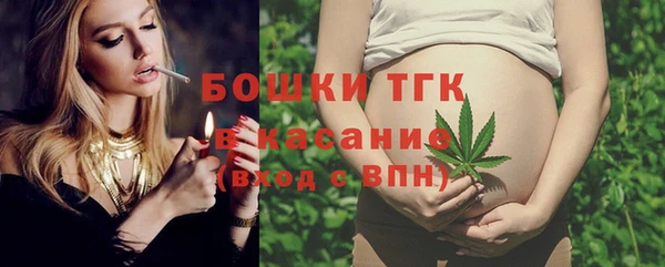 индика Нягань