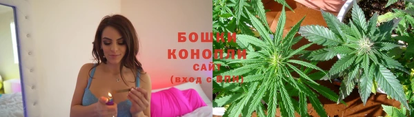 сатива Нязепетровск