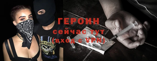 индика Нягань