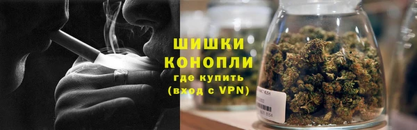 индика Нягань