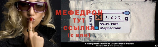 индика Нягань