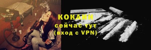 сатива Нязепетровск