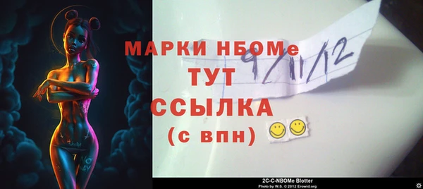 индика Нягань