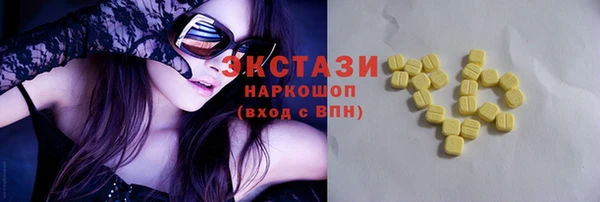 индика Нягань