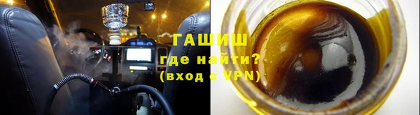 индика Нягань