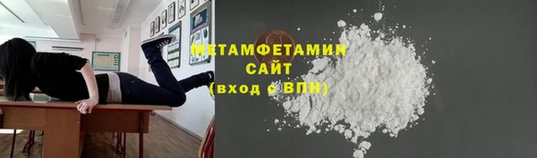 индика Нягань