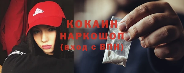 сатива Нязепетровск