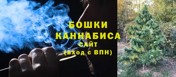 индика Нягань
