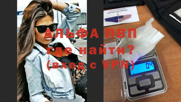индика Нягань