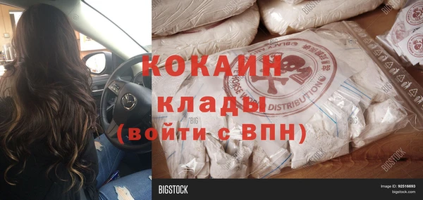 индика Нягань