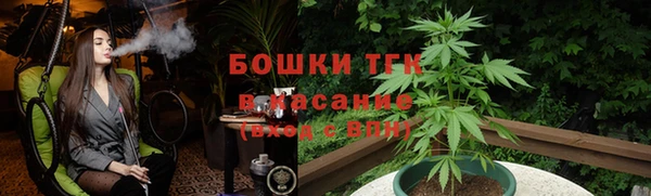 сатива Нязепетровск