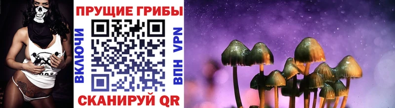 где купить   гидра вход  Галлюциногенные грибы мухоморы  Белый 